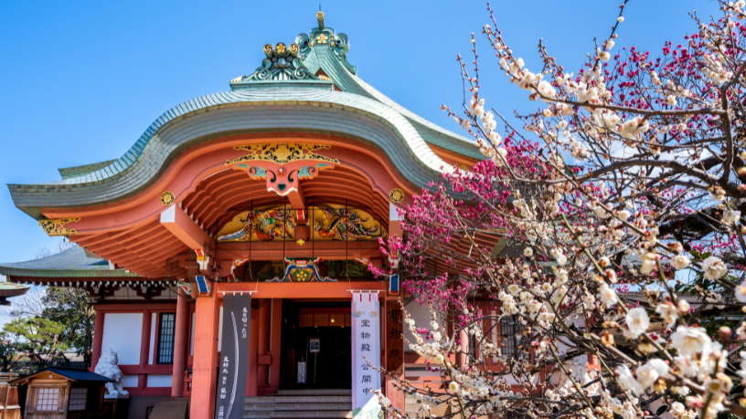 Vai viajar ao Japão? Alberto Toshio Murakami explica as datas comemorativas e os festivais mais famosos que você precisa conhecer.