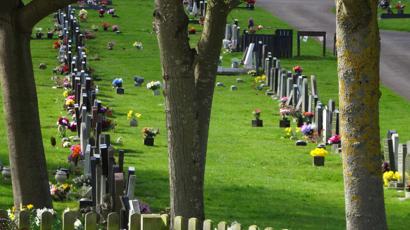 Licenciamento ambiental como base da regularidade funerária, analisa Tiago Schietti.