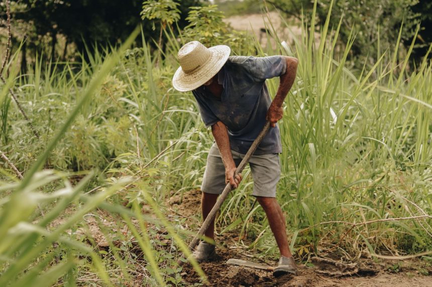 Trabalhador rural usando chapéu de palha em uma área verde no interior de São Paulo.